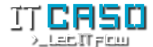 IT CASO logo